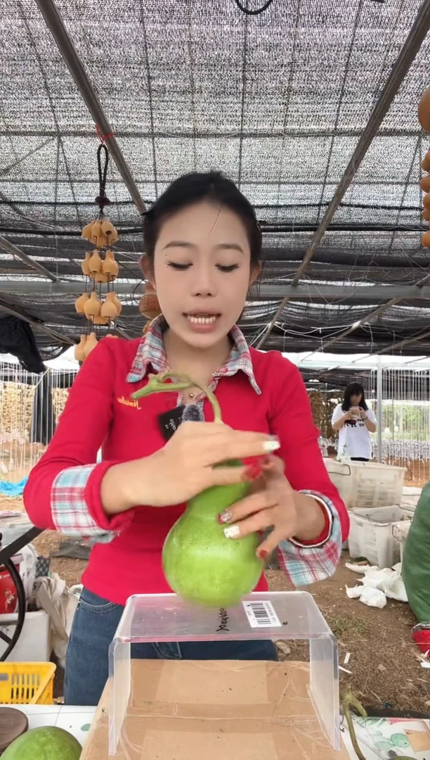 126天然葫芦摆件 一物一拍龙头不保售后