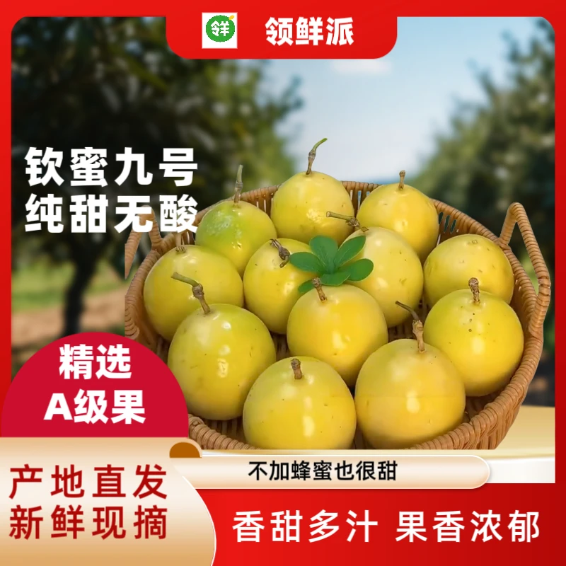 【产地直发】钦蜜九号9号武平纯甜3斤5斤包邮新鲜水果特大百香果