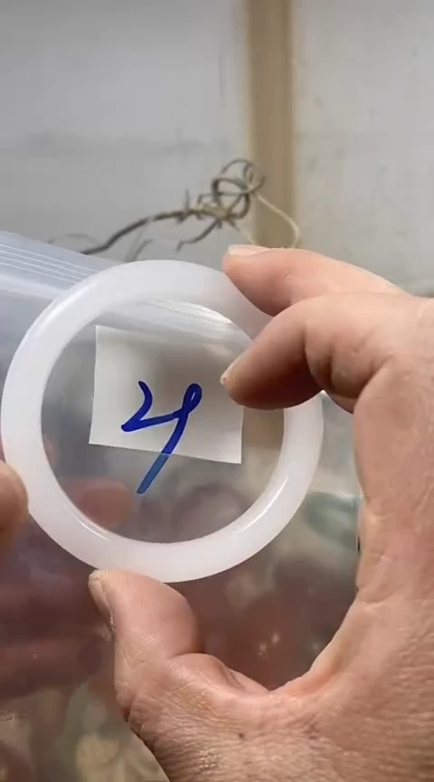 【闪购商品】石英质玉手镯未镶嵌58福利款有包容介意勿拍