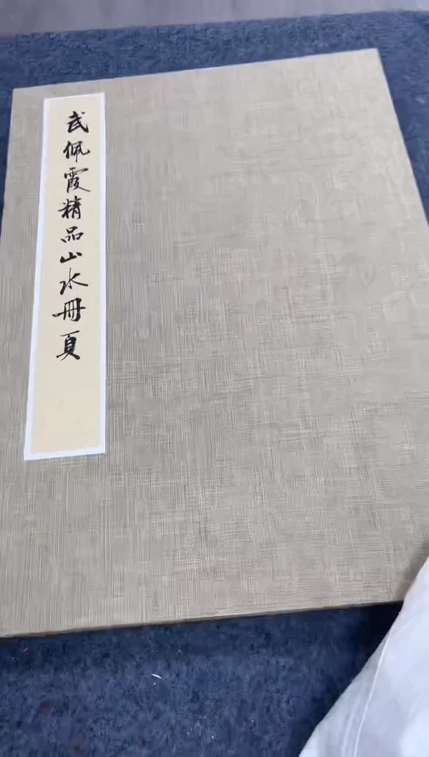 国画武佩霞-绘画作品-38