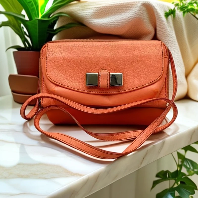 95新 Chloe/蔻依 手提包1234 9640