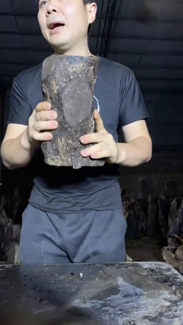 金丝楠7金丝楠小叶桢楠