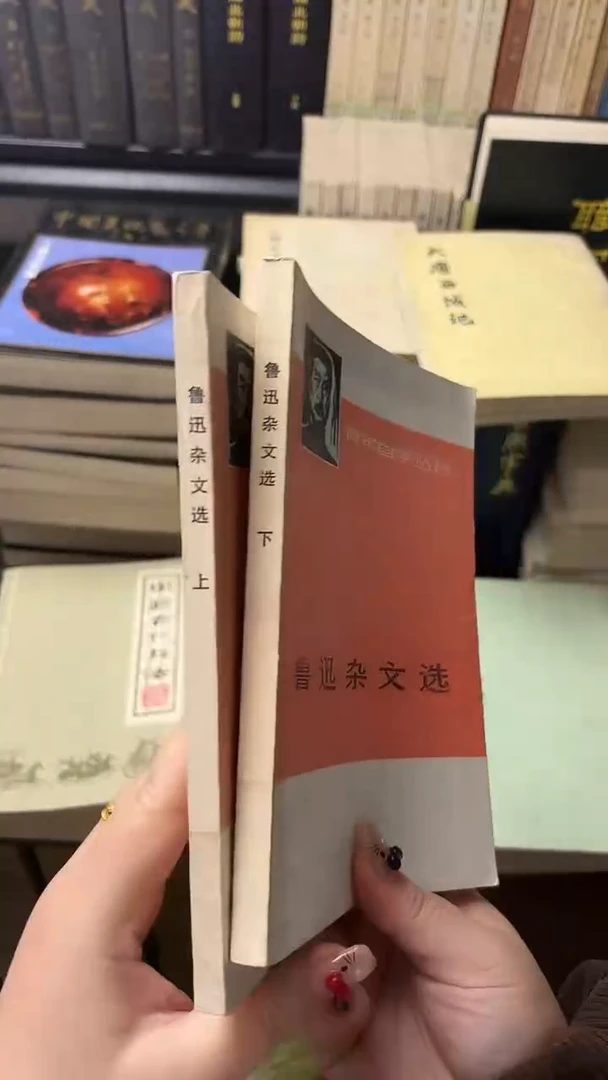 大***糊鲁迅杂文选上下