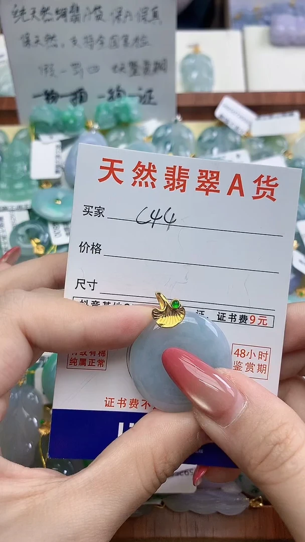 颈饰未镶嵌翡翠天然A货翡翠挂件