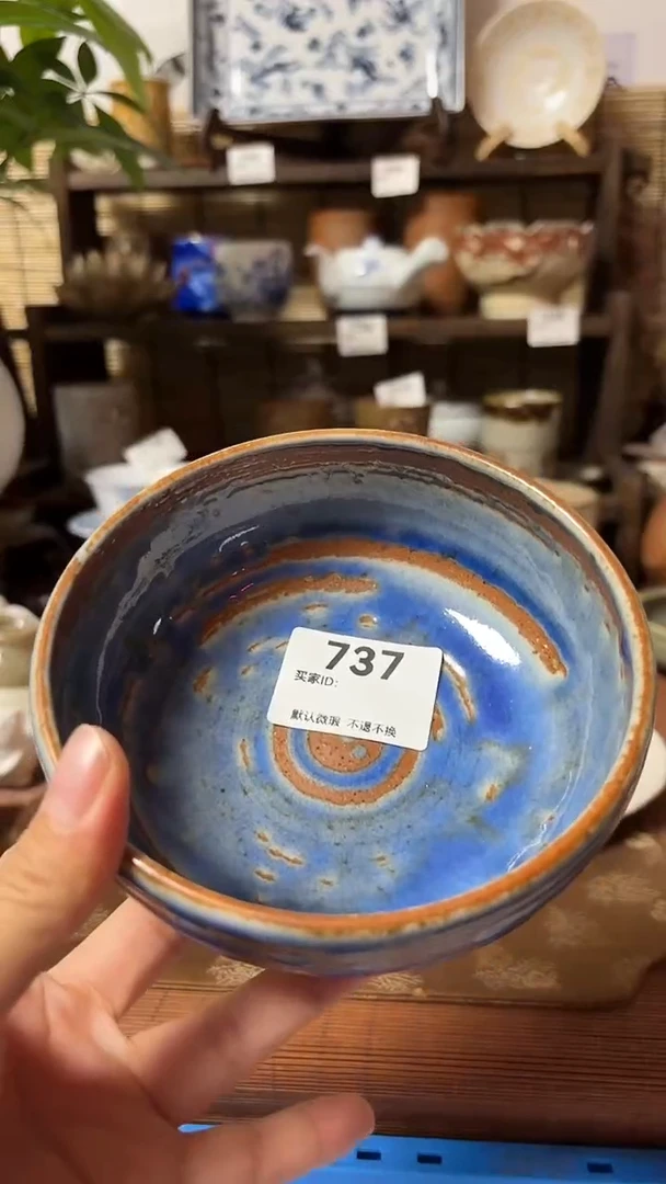 【闪购商品】瓷片喵喵家都是大漂亮