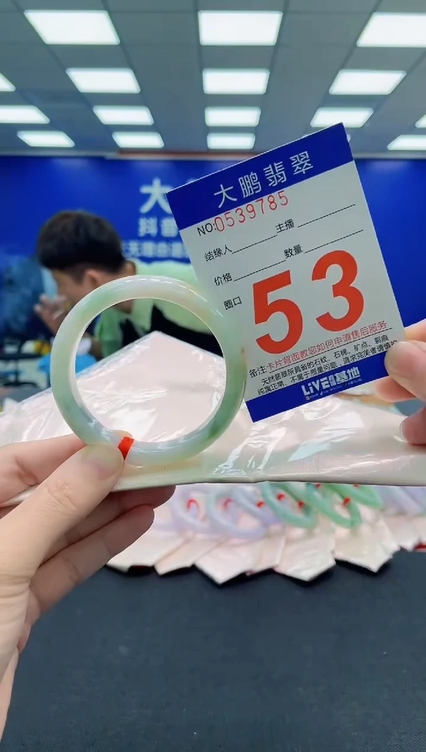 未镶嵌手镯翡翠AAAAAAAAA
