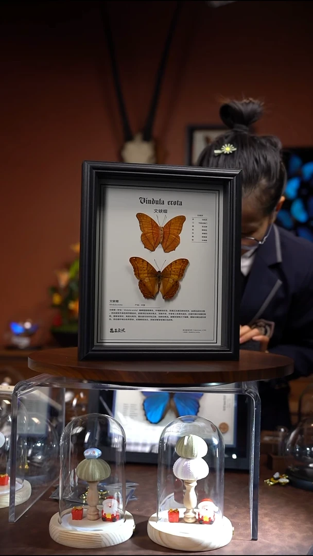 N865文蛱蝶10寸中文科普版