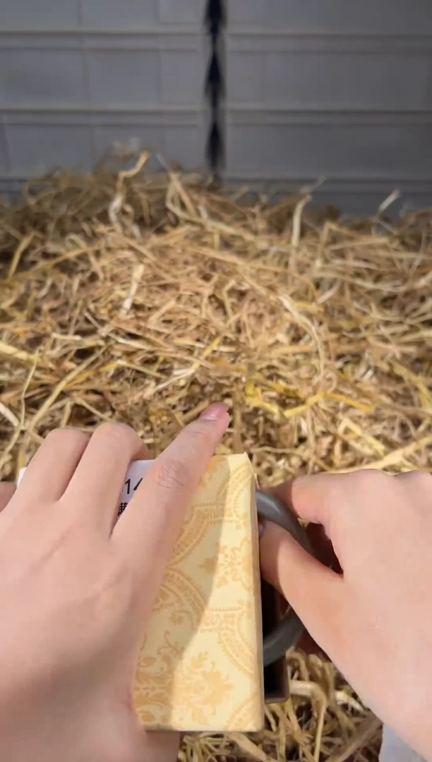 未镶嵌手镯石英质玉T4146