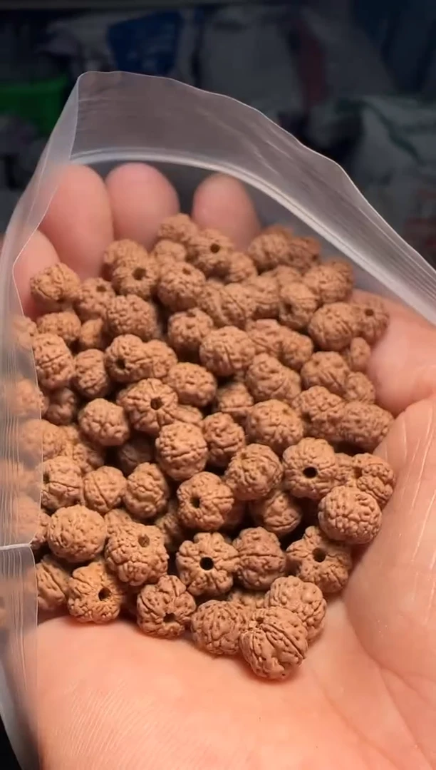 手串金刚菩提非全品老树梅花散籽7-8mm一份一百颗