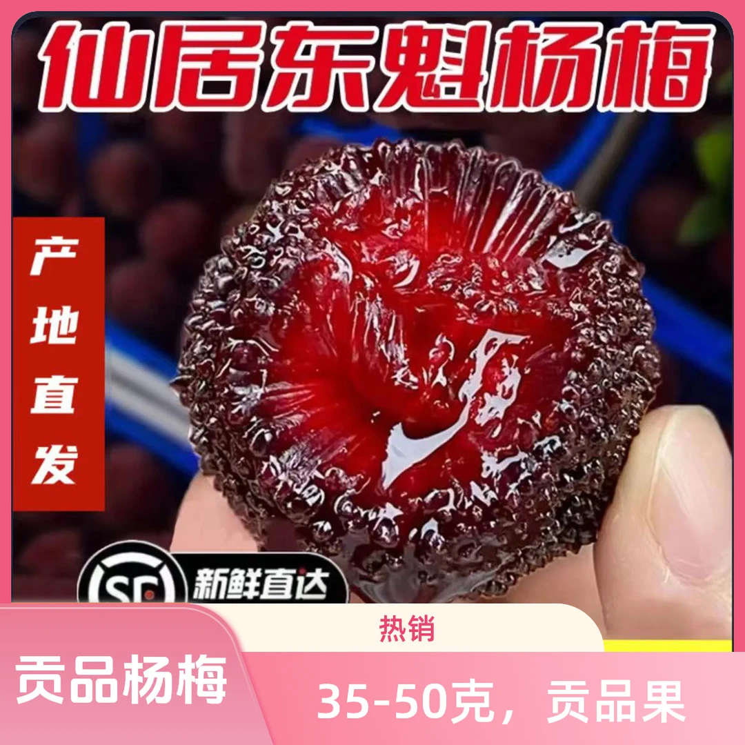 12A贡品级正宗仙居东魁杨梅大果新鲜水果顺丰冷链空运