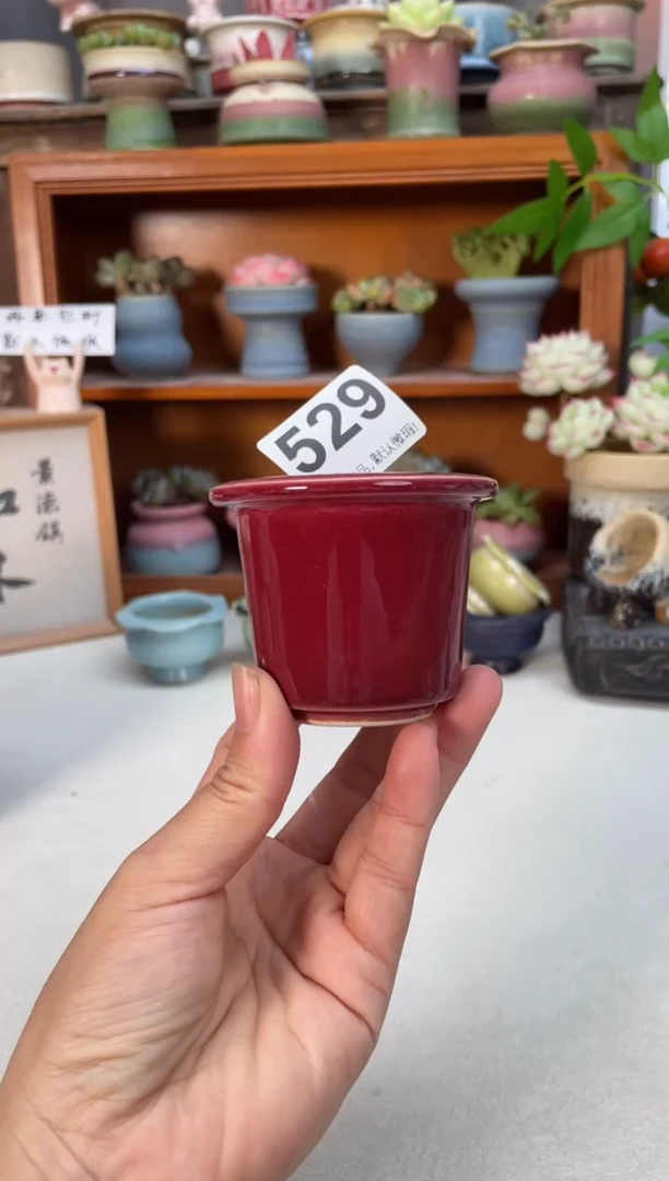 瓷片529知木小芳花盆