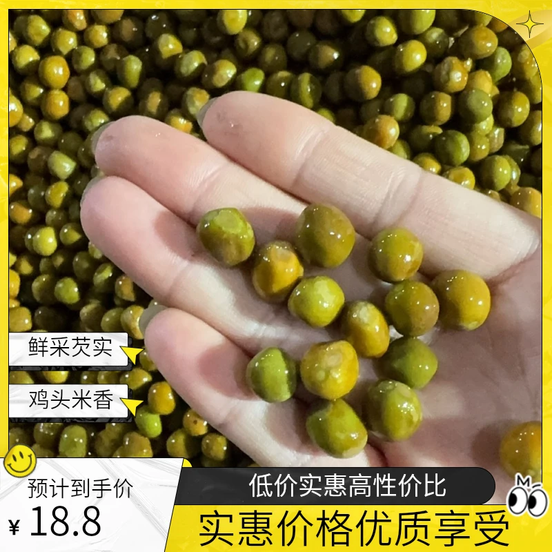 2025新鲜采摘精选10-11cm芡实鸡头米