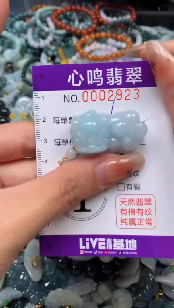 翡翠未镶嵌颈饰闪购002923