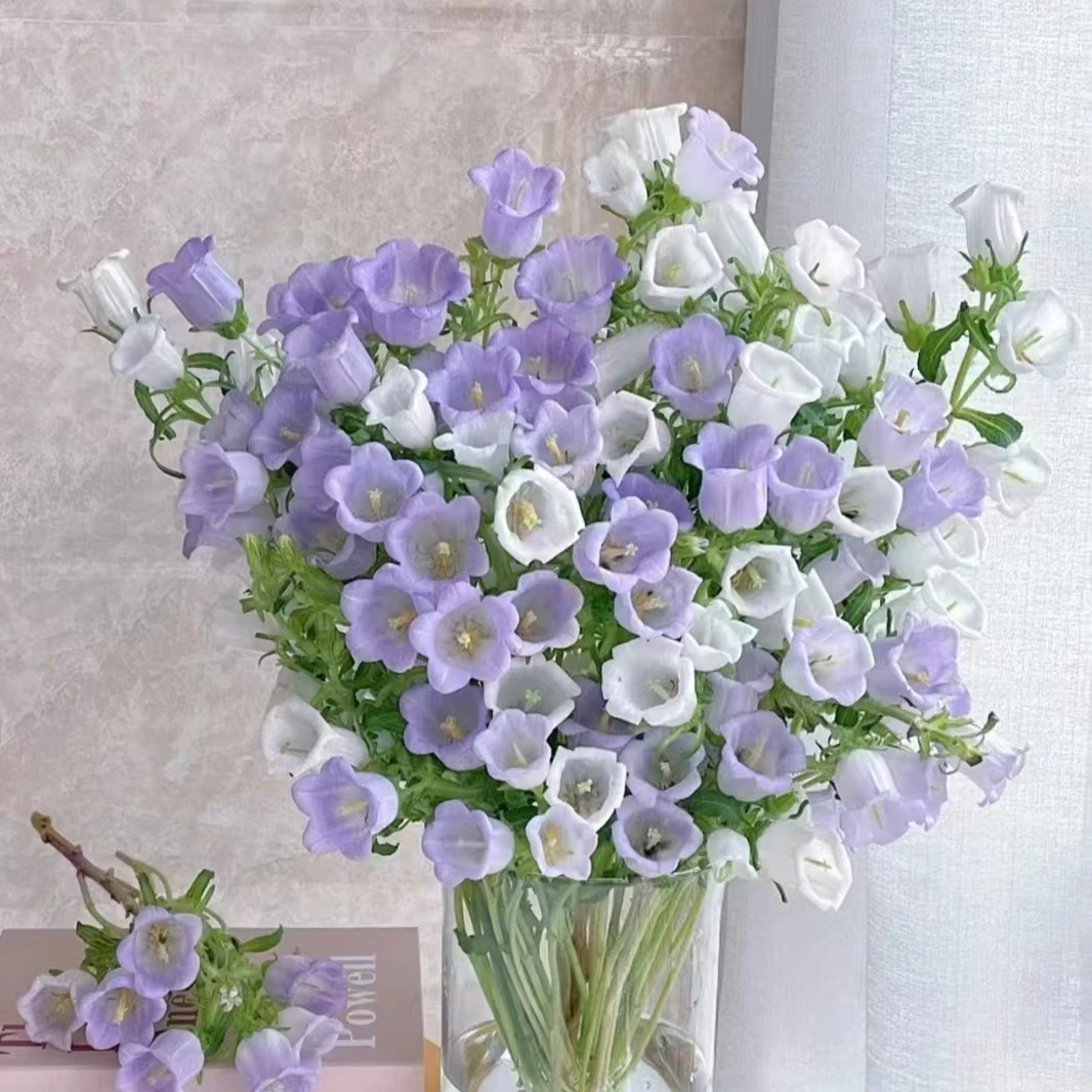 花鲜祉【风铃花/扎】全场任意两单顺丰包邮今日下单明日送达云南斗南鲜花基地直发鲜切花小风铃