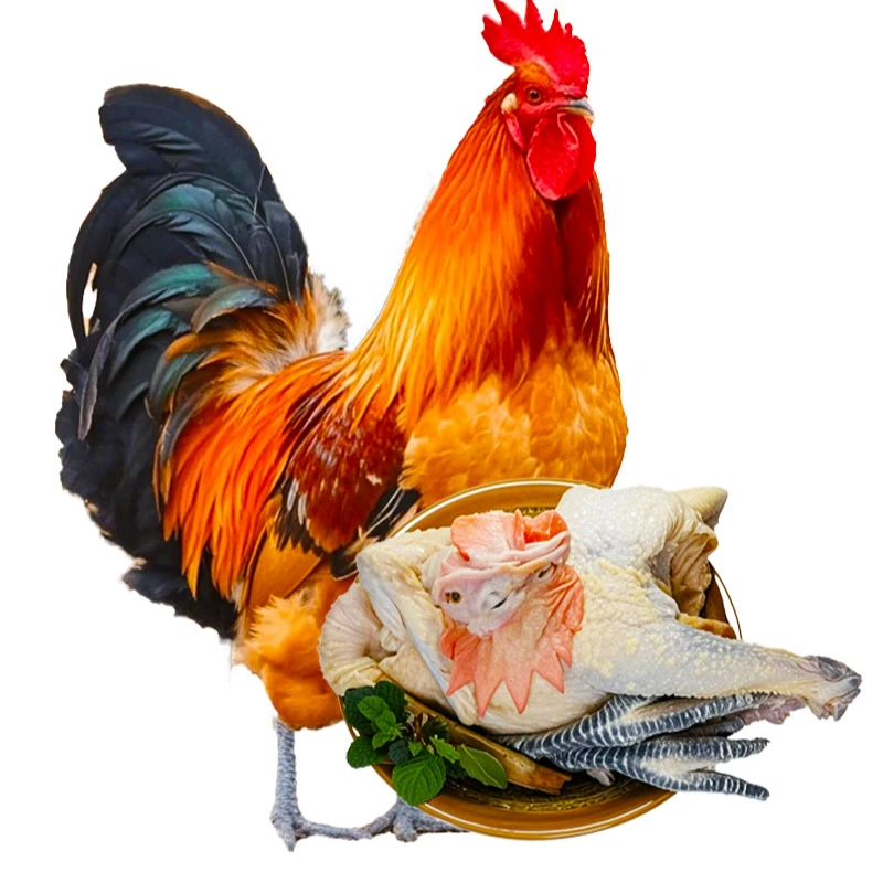 正宗山东黑爪黑脚大公鸡农家散养土鸡新鲜宰杀散养土鸡生鲜鸡肉