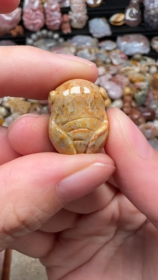 颈饰未镶嵌硅化珊瑚（珊瑚玉）774