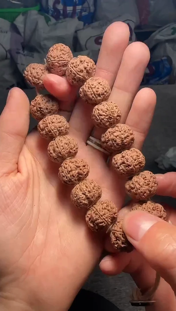 手串金刚菩提毕业级细纹满天星六瓣-19mm