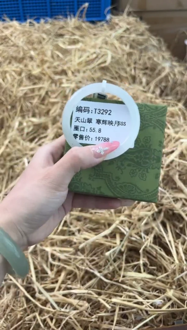 未镶嵌手镯石英质玉T3292