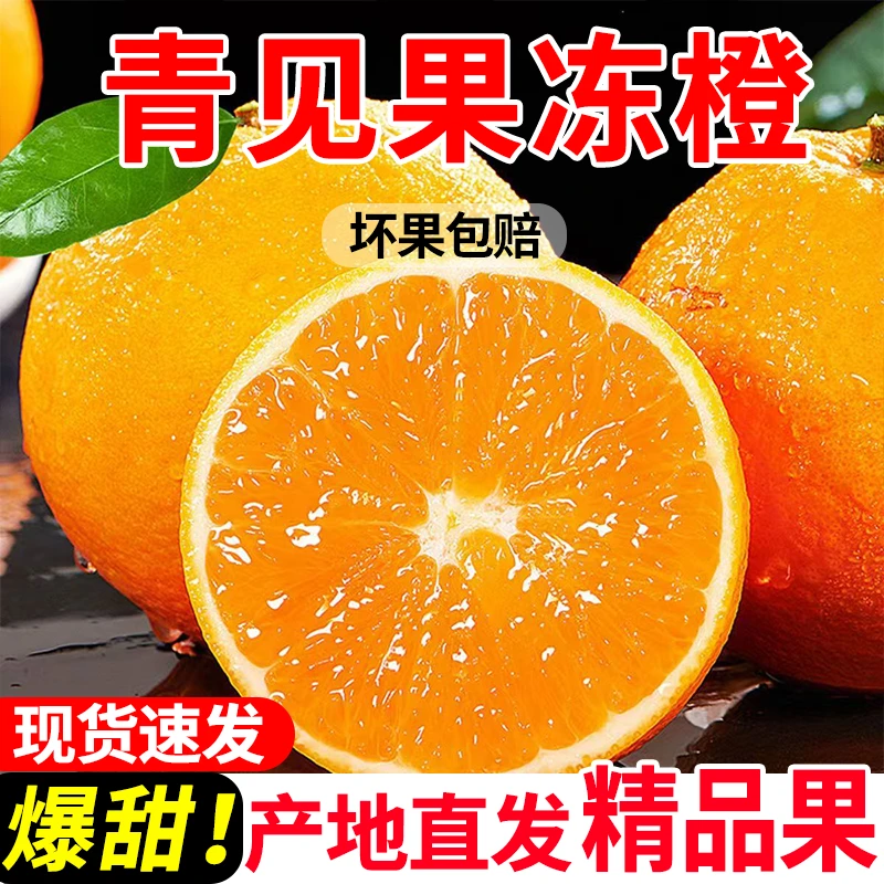 【晚熟青见果冻橙】四川青见果冻橙新鲜应季水果非爱媛果冻橙QD