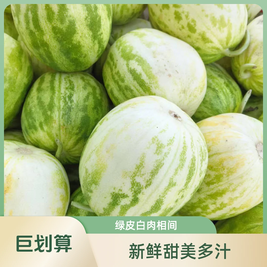 大地甜脆香瓜3斤一份