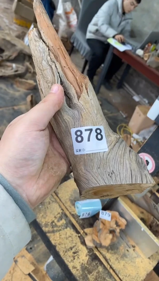 【闪购商品】柏木太行陈化崖柏切片