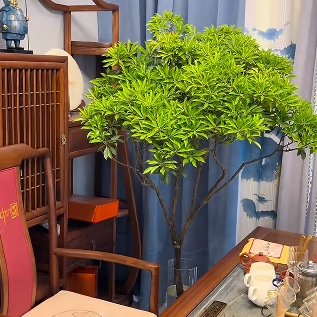 国产马醉木网红水培植物室内绿植鲜切枝吊钟客厅盆栽春天水养绿植