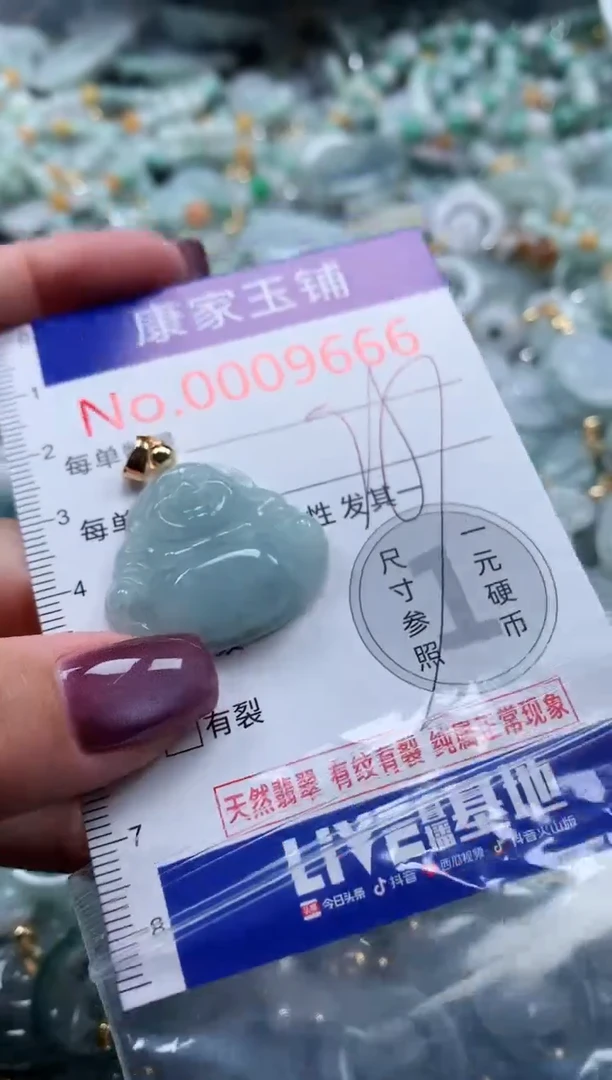 翡翠未镶嵌吊坠(不含链)9666
