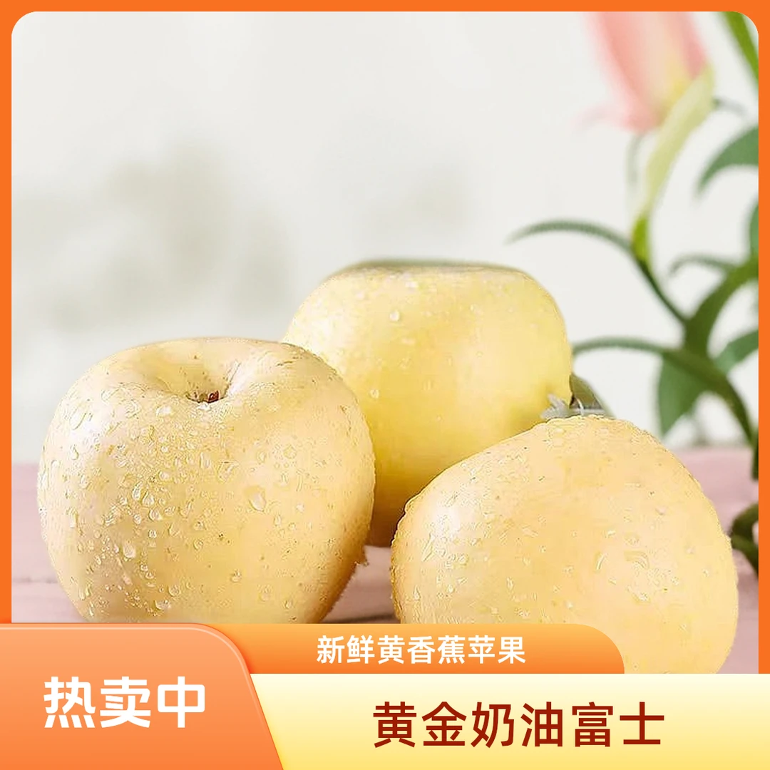 山东黄金奶油富士 当季现摘脆甜多汁 新鲜水果富士苹果