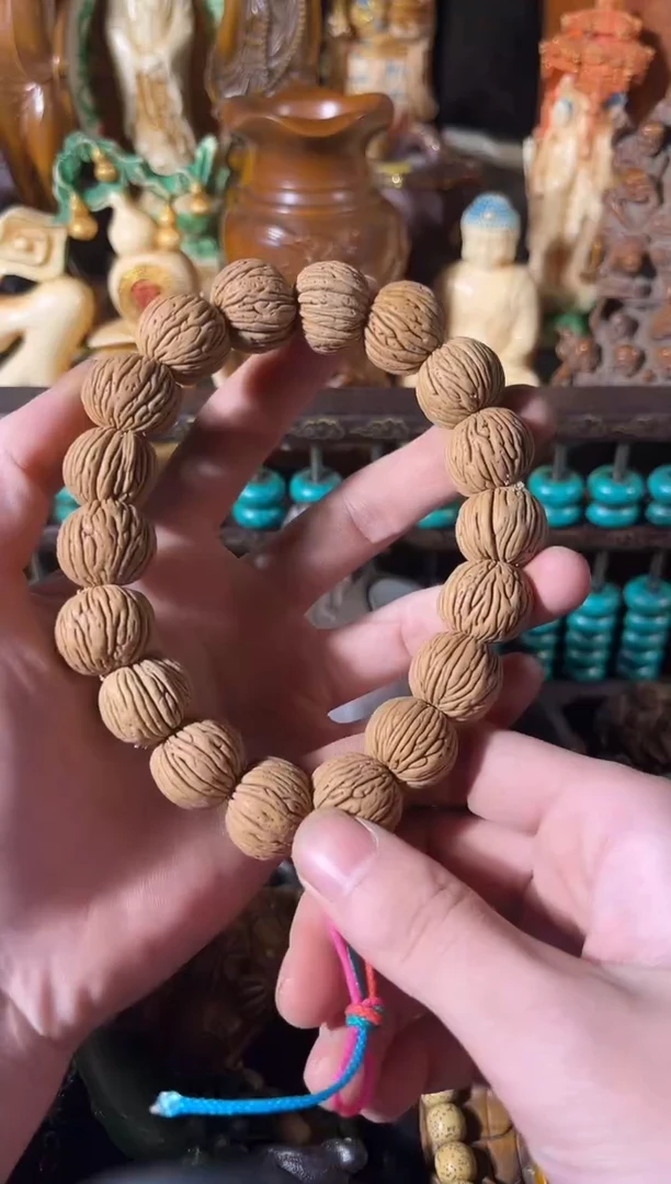 黄杨木1111111111111