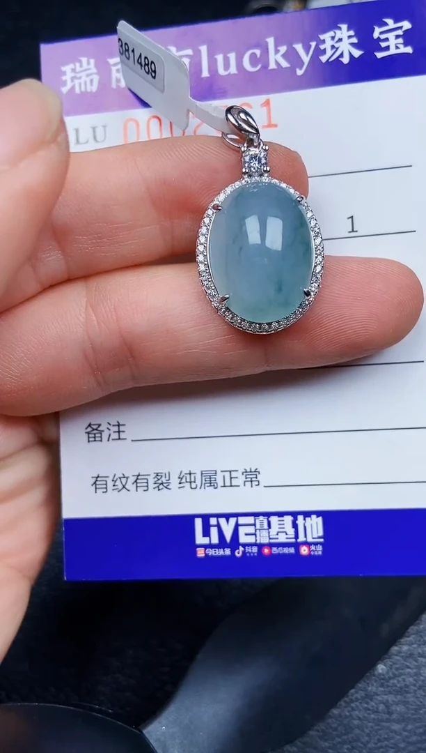 翡翠银S925镶嵌颈饰2561