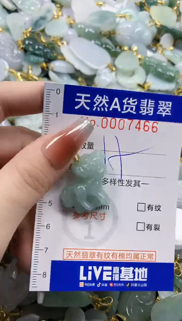 颈饰未镶嵌翡翠天然A货翡翠1