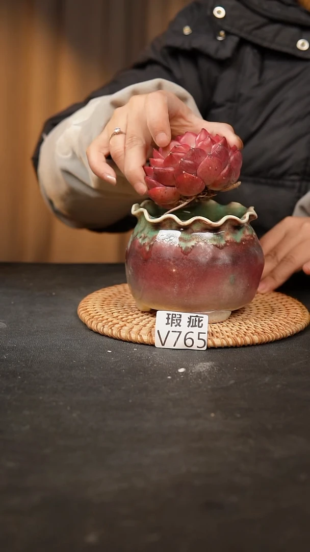 【闪购商品】瓷片765泥泥手工花盆口