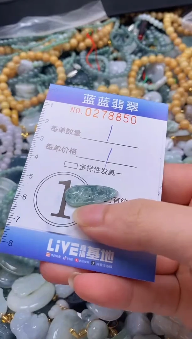 翡翠未镶嵌颈饰闪购0278850