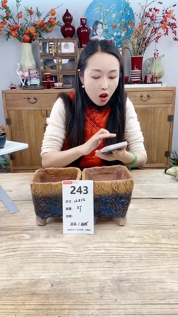 【闪购商品】红陶243