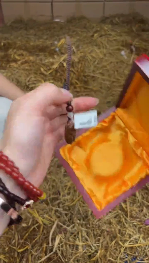 尚品精品手串《无礼盒》