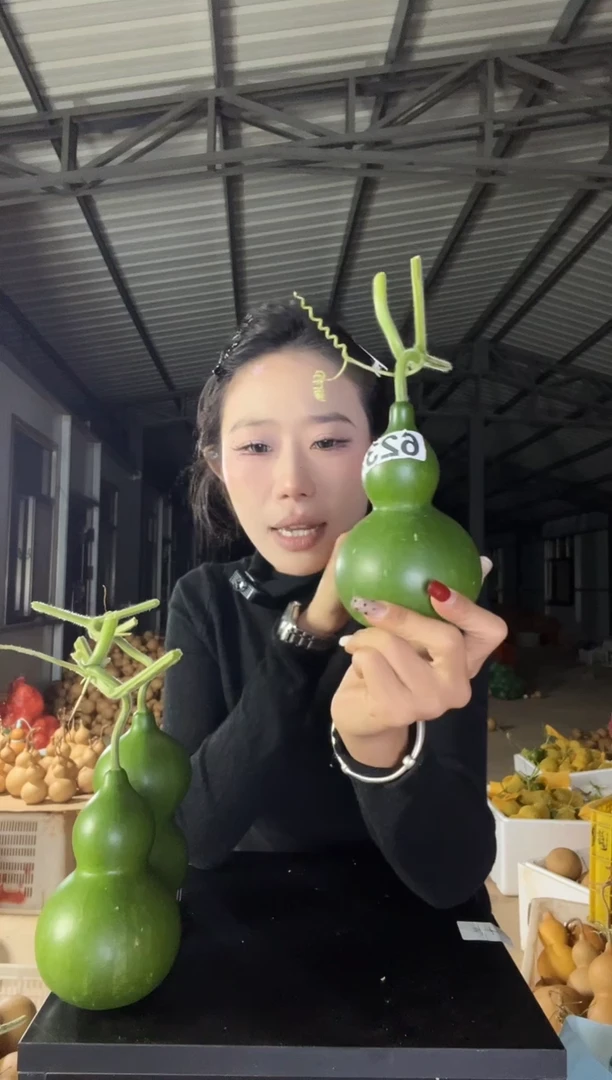 623天然葫芦摆件 一物一拍龙头不保售后