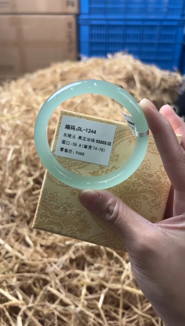 未镶嵌手镯石英质玉DL-1244