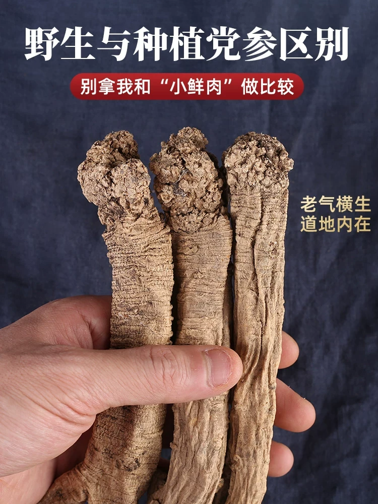 甘肃岷县高海拔野党参条整根可煲汤当归产地直销干货