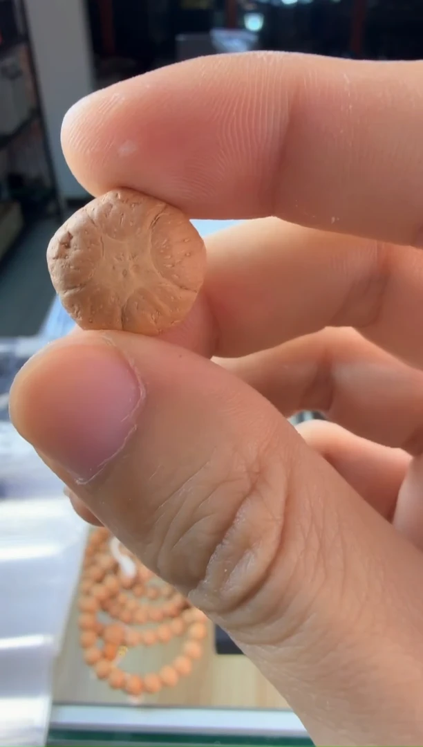 手串凤眼菩提3871 顶珠