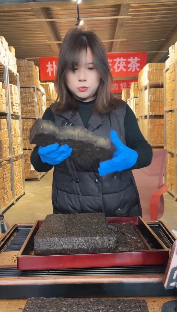 【闪购商品】桃源大叶2016年手工茯茶