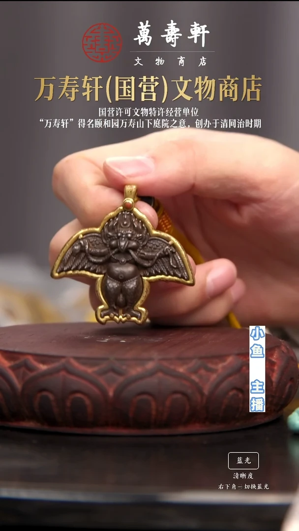 铜我**神大鹏鸟111111111111