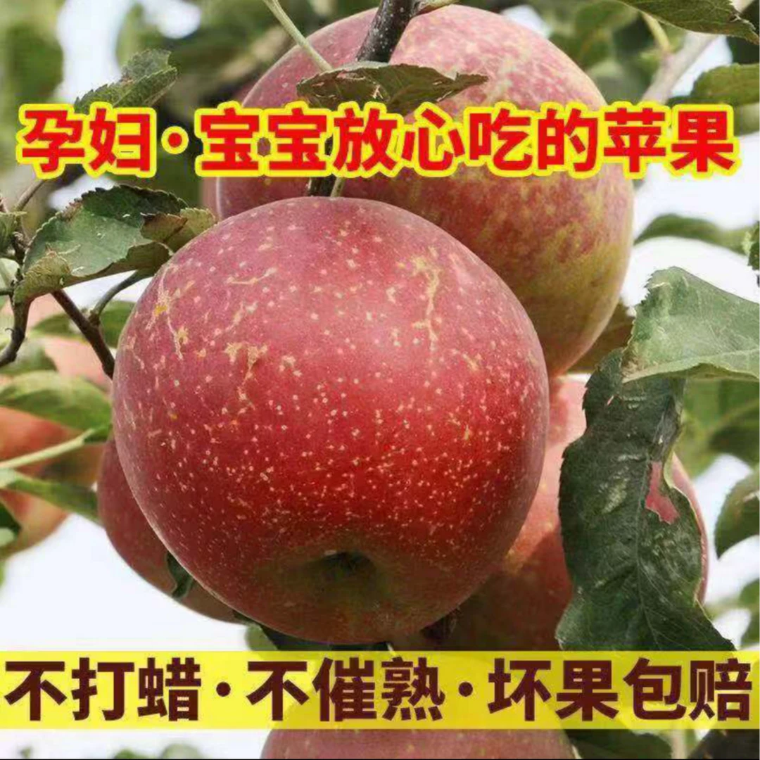 【顺丰包邮】2025四川汉源新鲜红将军苹果脆甜多汁