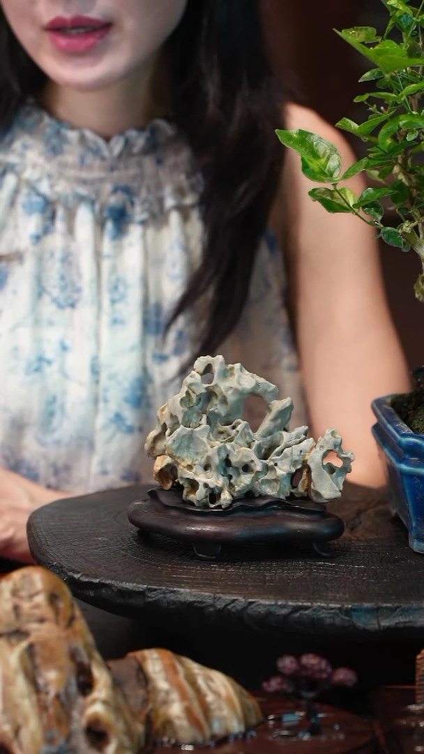 无花朵九龙壁盆景盆景盆景