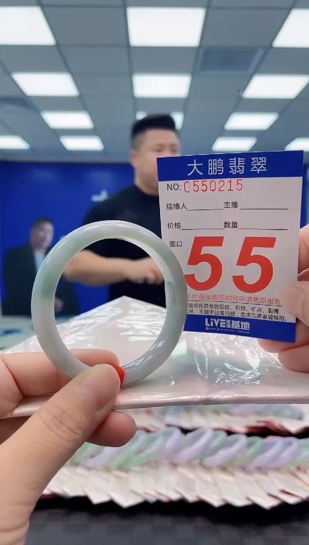 未镶嵌手镯翡翠AAAAAAAAAA