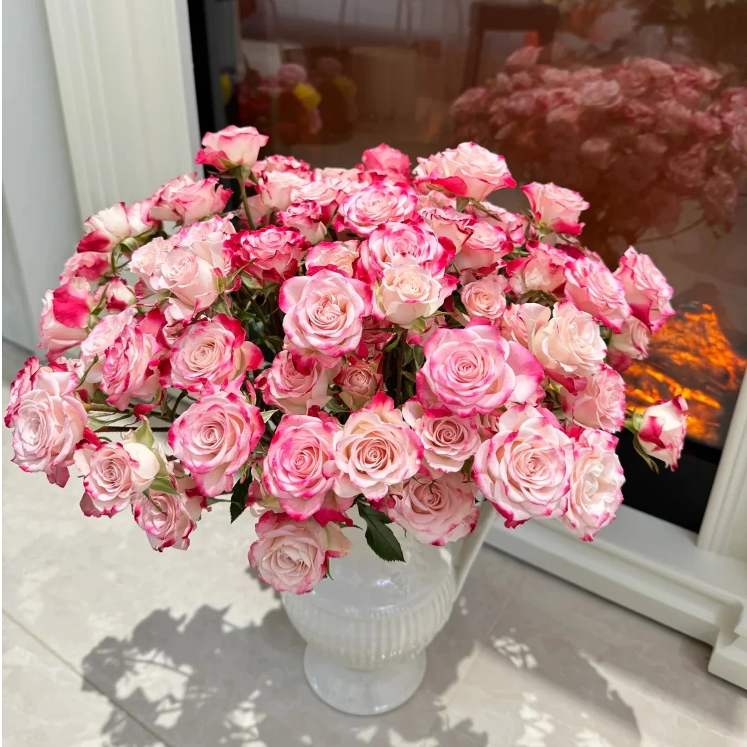 【折射多头玫瑰10支】鲜花次日达批发直播品质鲜花 全场任意满两单鲜花顺丰包邮