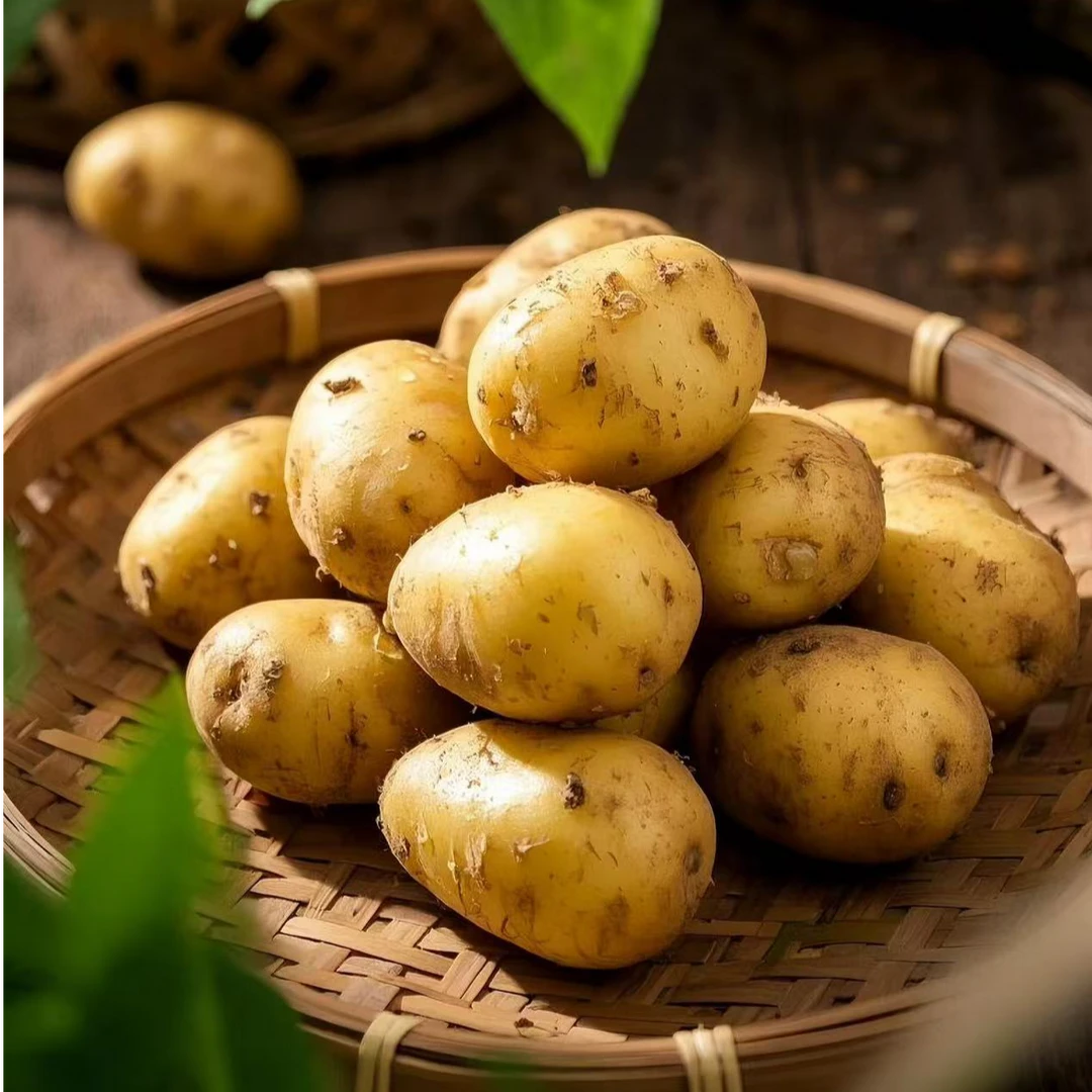 优鲜坐标有机黄心土豆 洋芋 马铃薯新鲜采摘 农场直发 应季蔬菜