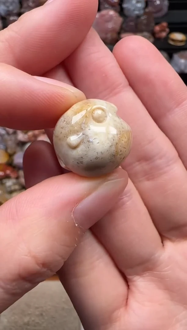 颈饰未镶嵌硅化珊瑚（珊瑚玉）474