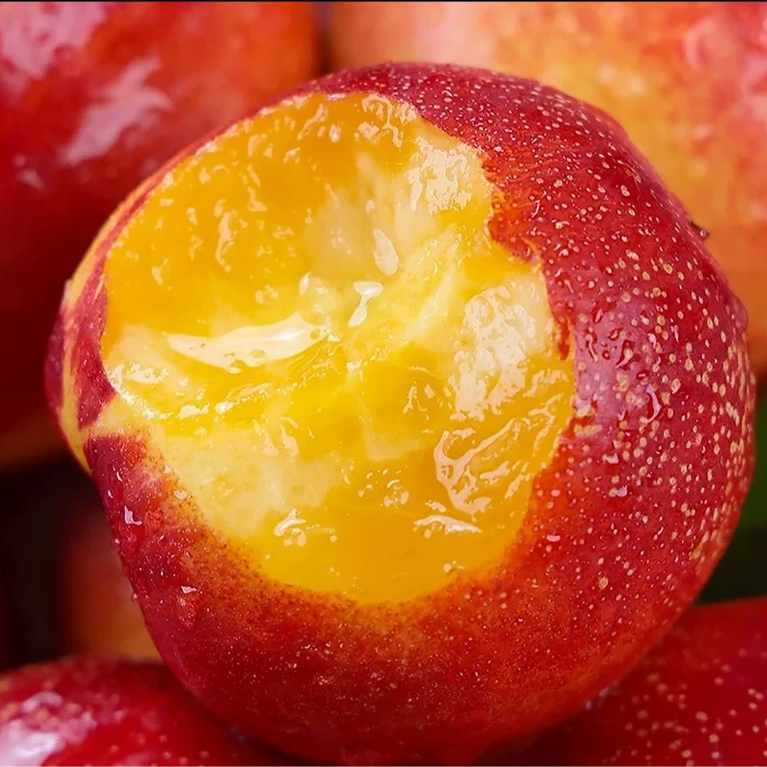 【现摘现发】山西运城地头现摘黄肉麻脸满天星脆甜黄心油桃