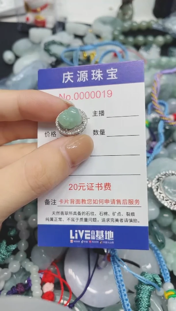 翡翠未镶嵌颈饰252