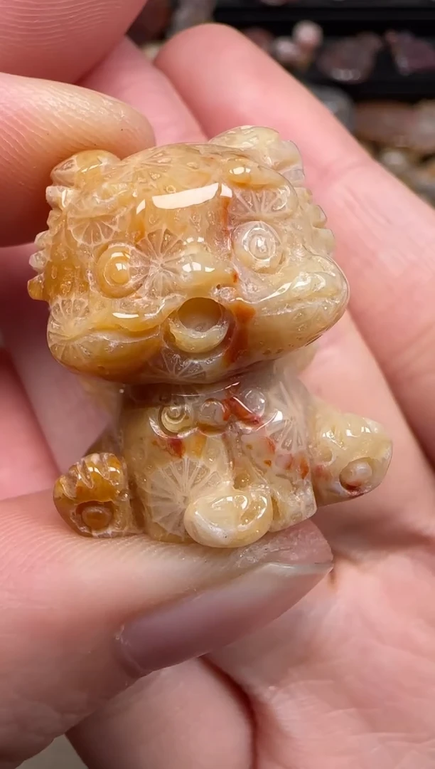 硅化珊瑚（珊瑚玉）未镶嵌颈饰305